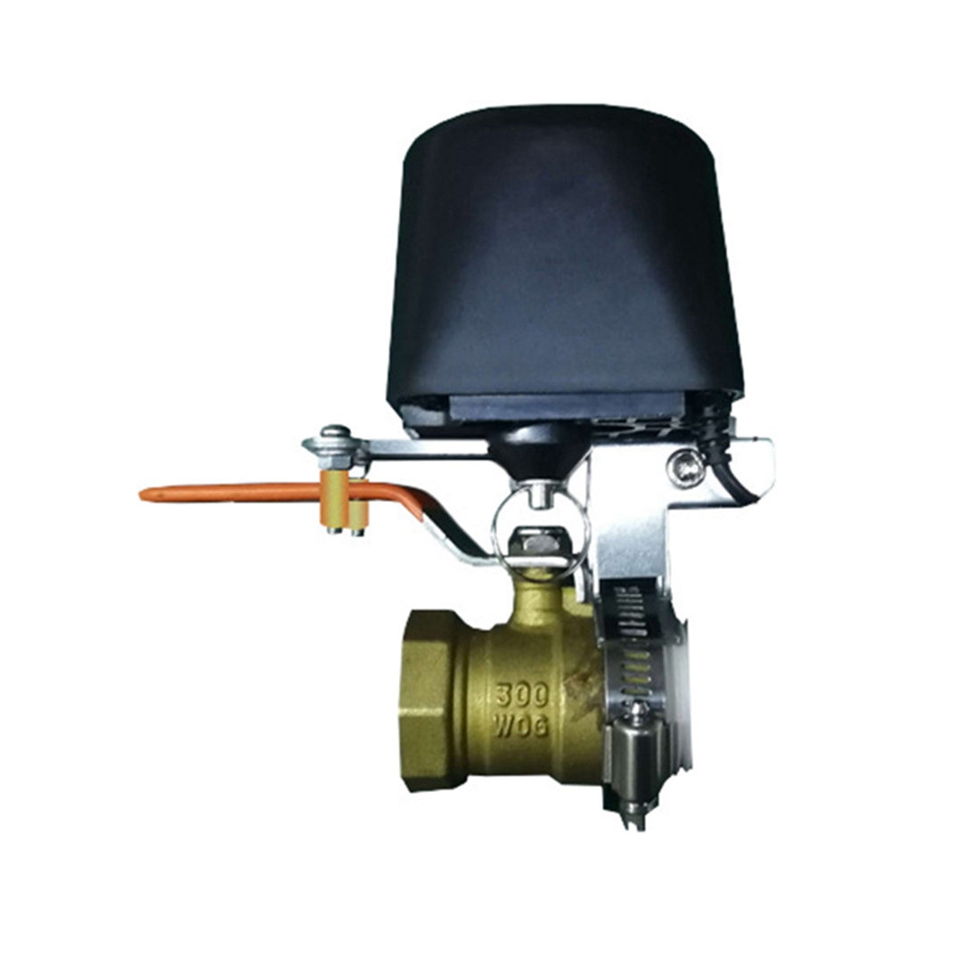Smart Garden Usa - (A02R) Vanne d'eau intelligente Tuya WiFi,
