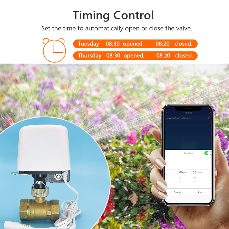 Vanne d'eau intelligente Tuya  - Wifi Irrigation Timer avis et prix