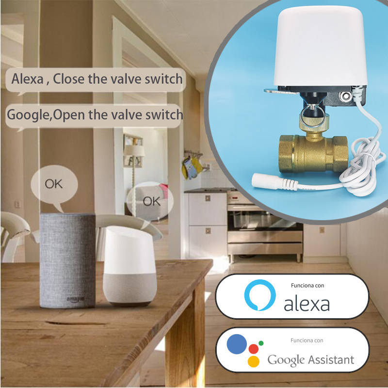 Vanne d'eau intelligente Tuya  - Wifi Irrigation Timer avis et prix