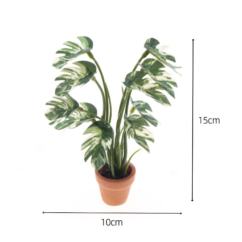 Nouveau. 1 pièce. Plante verte - Smart Garden In Home avis et prix