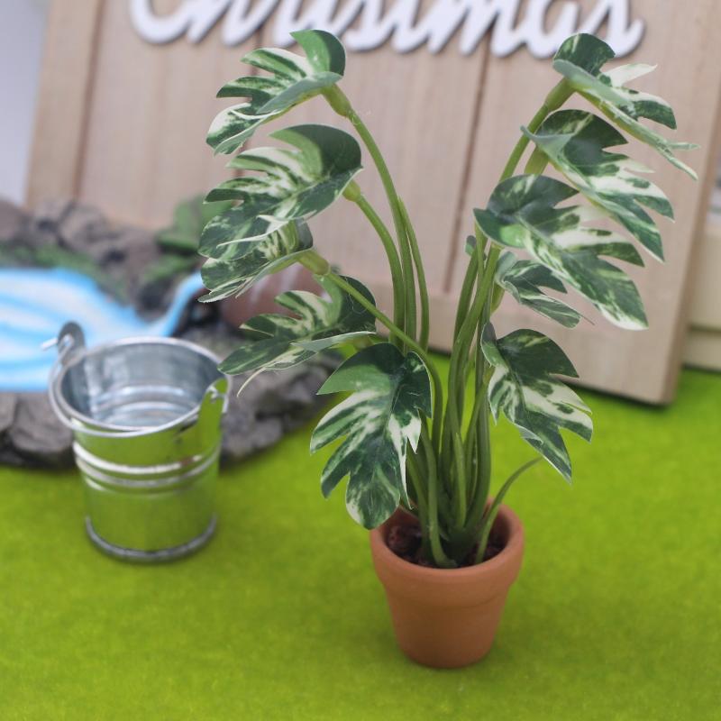 Nouveau. 1 pièce. Plante verte - Smart Garden In Home avis et prix