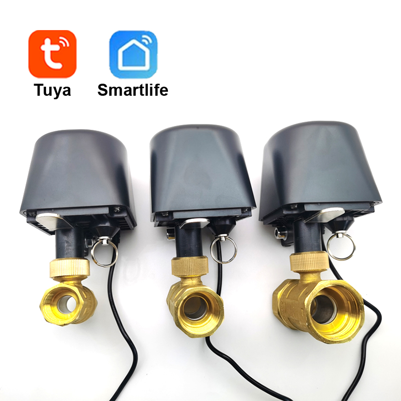 Tuya WiFi ou Zigbee vanne d'ea - Wifi Irrigation Timer avis et prix